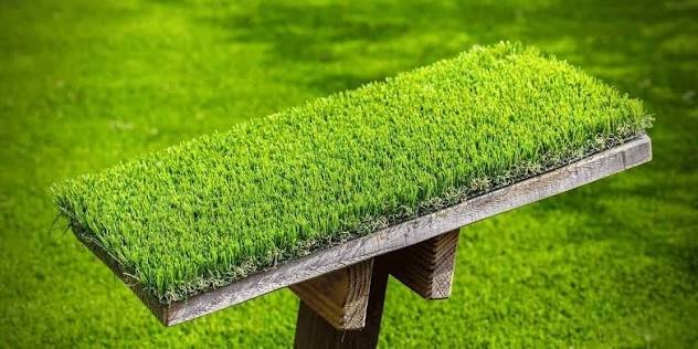 Artificial Grass