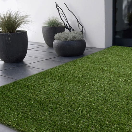 Elegant Indoor Grass Carpet