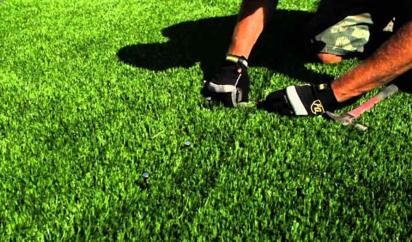 Non-toxic Turf With Easy Maintenance