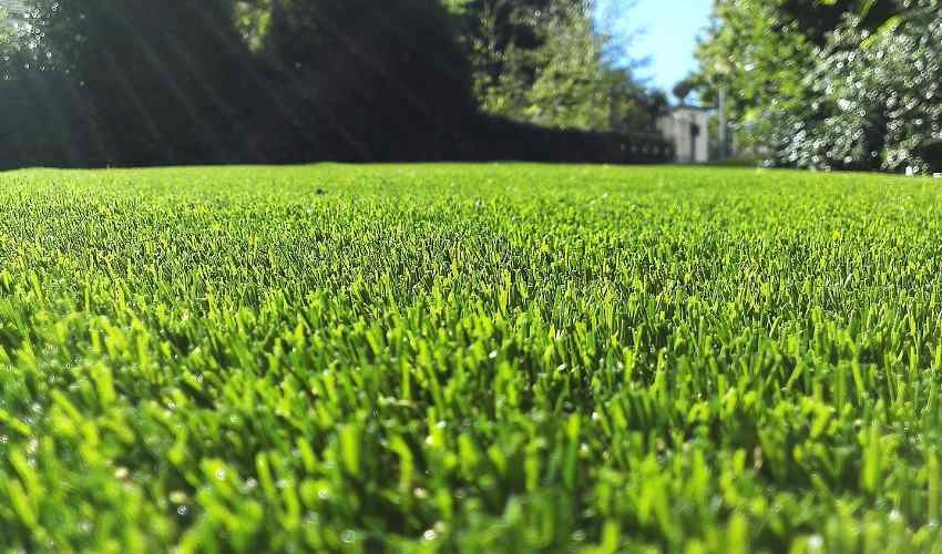 Polypropylene Artificial Grass
