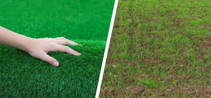 Real Grass Cost Over Time