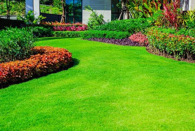 Real Grass