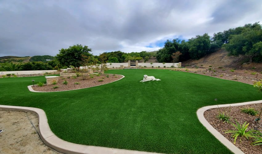 artificial turf Safe for Kids & Pets