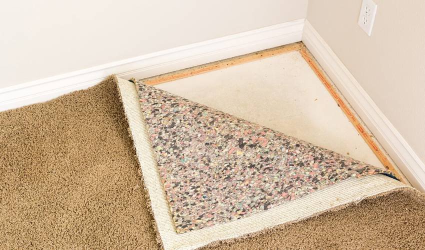 Carpet Padding Maintenance & Cleaning