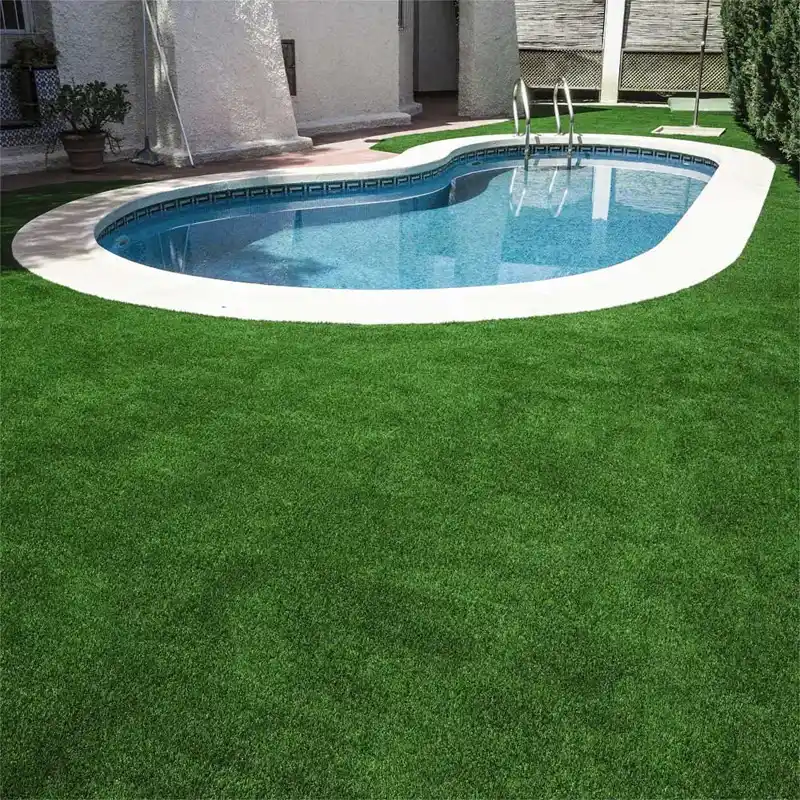 Swimming Pool artificial grass