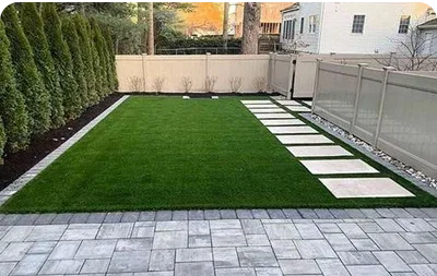 backyard grass