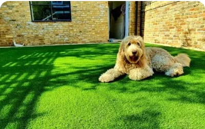 Pet Areas artificial grass