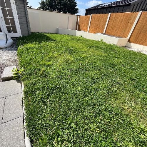 Home Lawn Before artificial grass installation