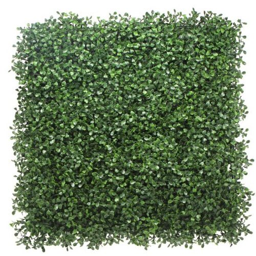 FN6402 wall grass