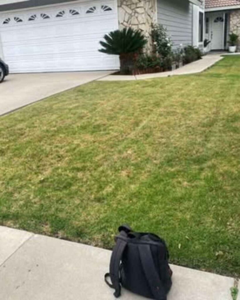 Before Garden artificial grass Project in Dubai