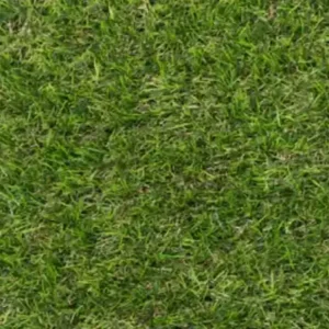 Severn 20mm Artificial Grass