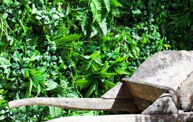 Premium Artificial Living Green Wall Panel - Forest Fern