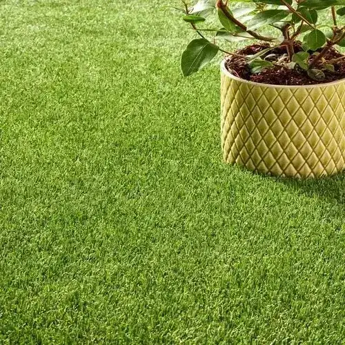Artificial Grass Dubai Premium Astro Turf
