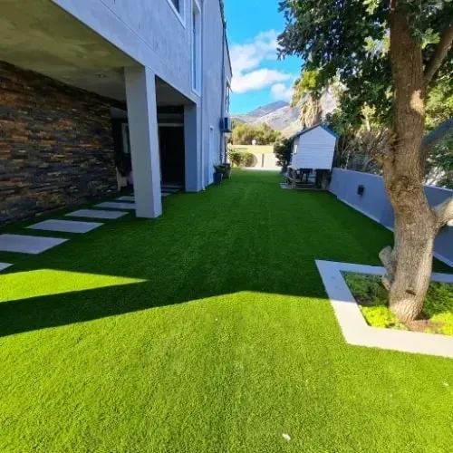 Best Lawn-Carpet