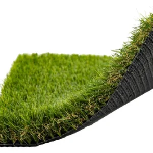 Buckingham 42mm Luxury