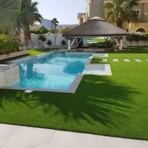 Dubai Garden And Pool Landscape