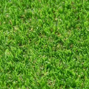 Eden Artificial Grass