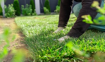 Grass Site Preparation