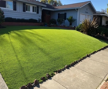 Landscaping Grass