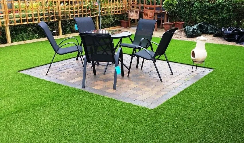 Living with Your Lawn