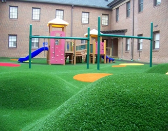 Playground Grass