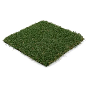 Playscape Premier 75 Playground Artificial Grass