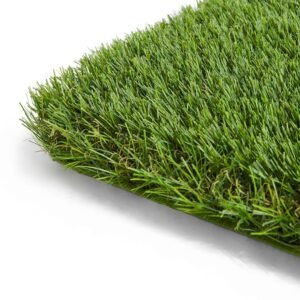 Stellenbosch 38mm Artificial Grass