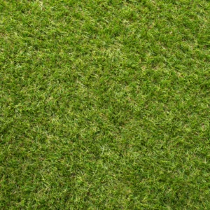 Yewvista 30mm Artificial Grass