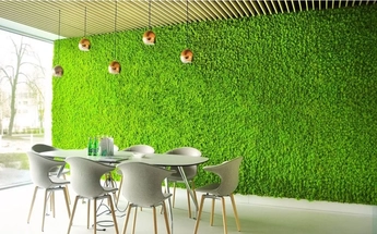 Best Artificial Wall Grass Dubai