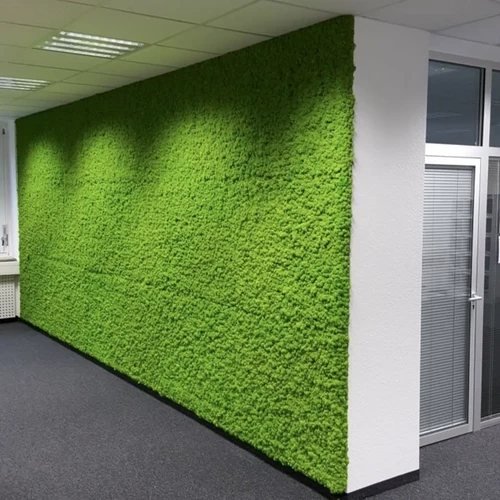 Latest Artificial Wall Grass in Dubai