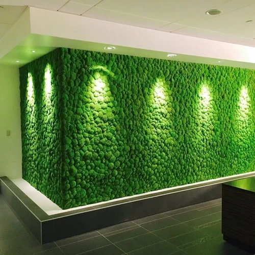Stylish Wall Grass