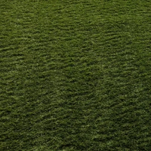 Balcony Grass 42mm Thick