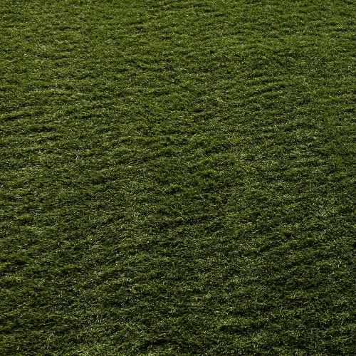 Balcony Grass 42mm Thick