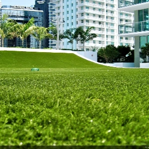 Commercial Artificial Grass