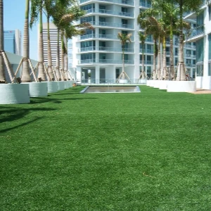 Commercial Grass