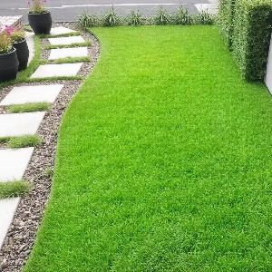 Pet Artificial Grass