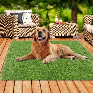 Pet Artificial Grass for Balconies
