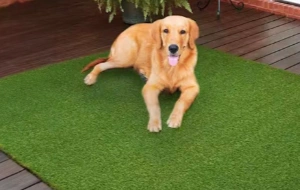Pet Artificial Grass For Indoor Use