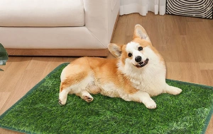 Pet Artificial Grass Indoor Use