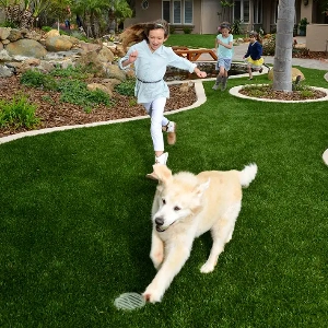 Pet Artificial Turf