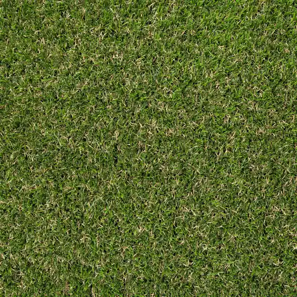 Blackburn 7mm Artificial Grass