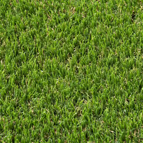 Blackburn 7mm Artificial Grass - Image 2