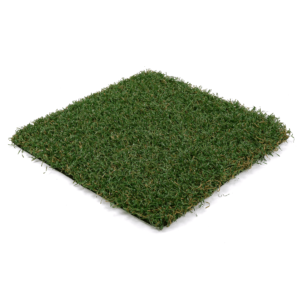 Playscape Premier 75