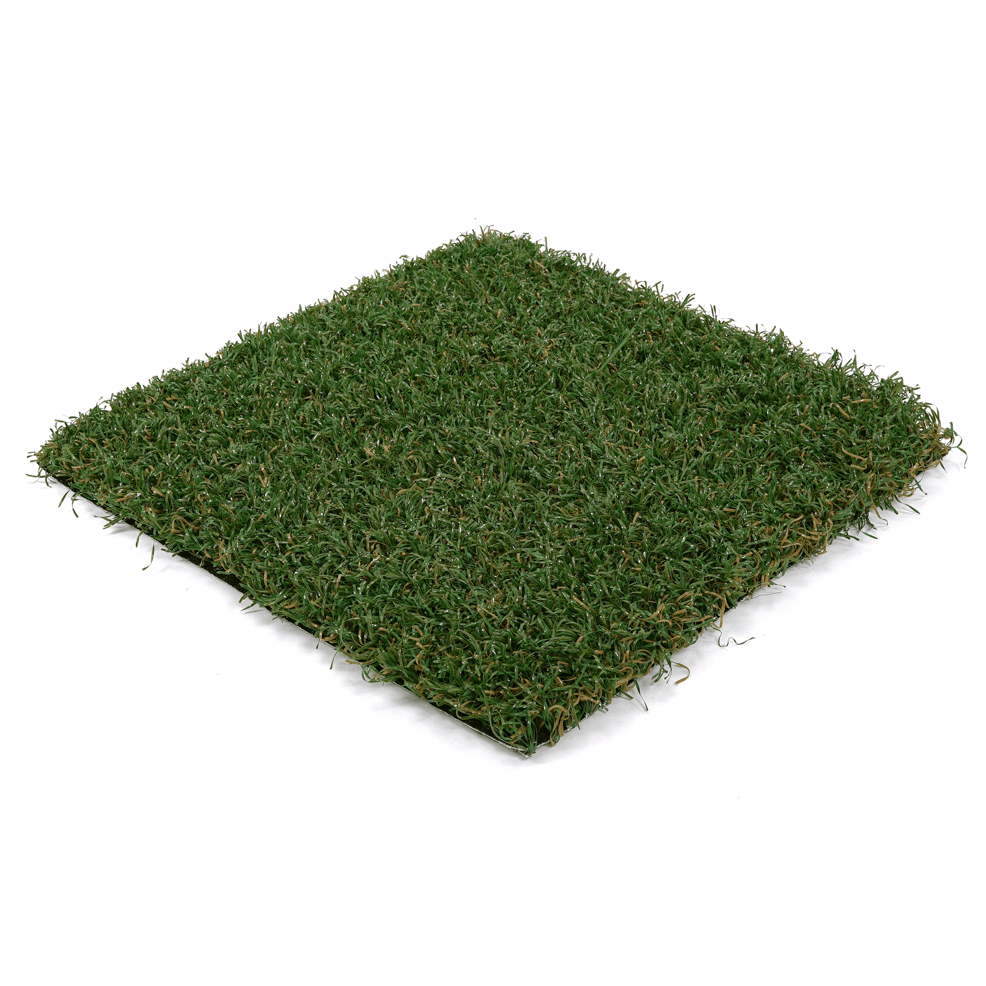 Playscape Premier 75