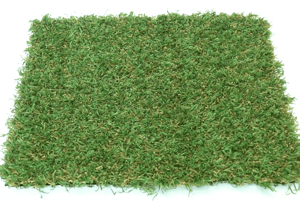Playscape Premier 75 - Image 2