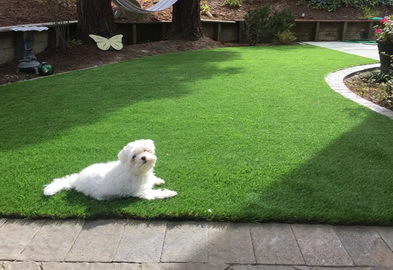 How to Install Artificial Grass for Pets on Soil